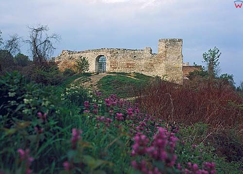 kazimierz-ruiny zmku d040204 fot. Wojciech Wójcik 